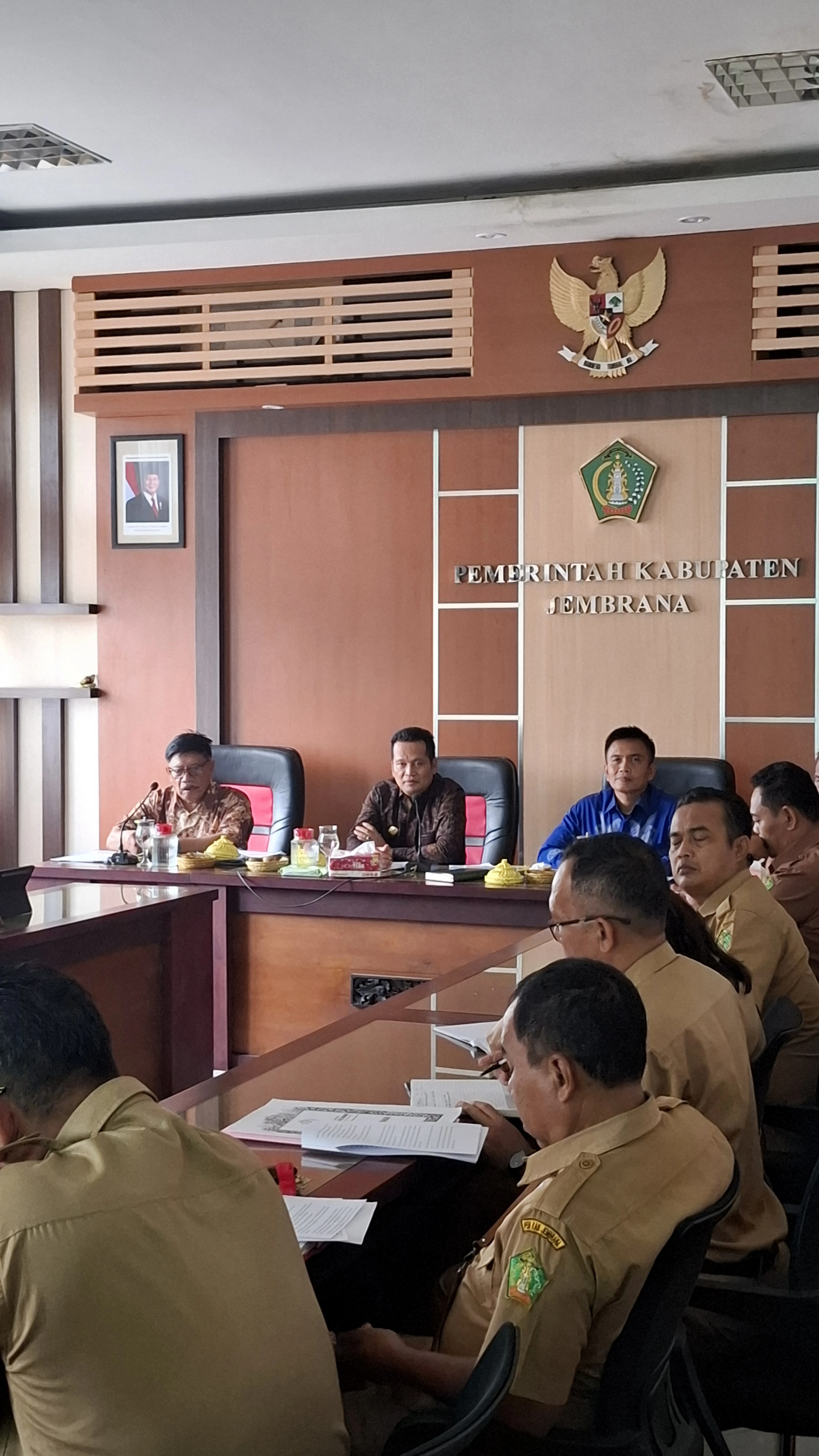 Rencana Tata Kelola Klinik Desa di Kabupaten Jembrana