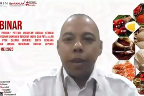 Webinar Penentuan PUD sebagai dasar dokumen RIPJPID serta RPJMD